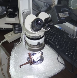 実体顕微鏡にフィギュアをセットしたところ